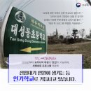 대성동초교(병설) 이미지