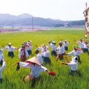 남도들노래 이미지