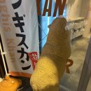 강남-064 | [삿포로 맛집] 삿포로 징기스칸 예약 가능한 곳! 강남 추천 구글 평점 4.7 '라무구치 카즈야' 내돈내산...