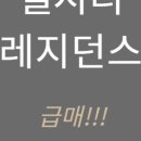 미스터피자신제주점 이미지