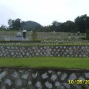 대덕초교 이미지