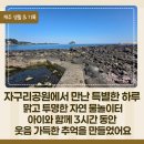 서귀포 자구리공원 물놀이 명소, 아이와 3시간 신나게 놀고 온 제주 바다 체험 후기