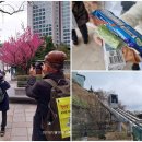 남산공원(정자아래) 이미지