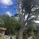 바릴로체 | 🇦🇷 산카를로스바릴로체 비수기 여행 후기 가볼만한 곳