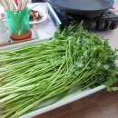 능성동농장 이미지