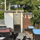 제주도조용한게스트하우스산방산점 이미지