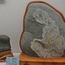 덕소자연사박물관 이미지