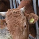 최선농장 이미지