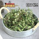타임 쇼핑하우