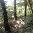 축동농로 이미지