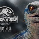 베이비프라임 이미지