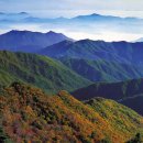 지리산리틀프린스펜션