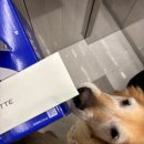 해피니手(수)- 손에 잡히는 행복 | 신혼 크리스마스 파티 메뉴는 케이크, 대방어, 뿌링클 파리바게트,비산회직판장, BHC,다이소 솔직 후기