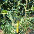 병호목장 이미지