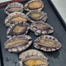 완도수산 | 완도전복 신선함이 다르다, 도은수산에서 제대로 골라온 후기