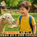 안기농장 이미지