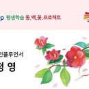 동대신1동골목시장 이미지