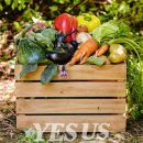 예스환경 이미지