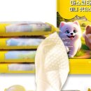 마스코타 펫 이미지