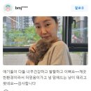 큐티댕냥 하남 본점 강아지 고양이 분양 이미지