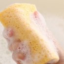 국대과일 이미지