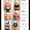 [스포짐 인턴쉽 모집] 트레이너를 준비하고 계신다면 이 기회 절대 놓치면 안됩니다. 이미지