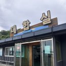 요촌선착장 이동식화장실 | [강화] 강화도 볼음도 배편 시간표 요금 선수선착장, 아기랑 강아지 동반 차도선 입도 솔직 후기 🛳️