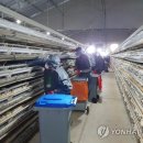 서해안 농장 이미지