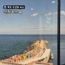 상수리나무아래 호스텔 | 묵호 숙소 오션뷰 선창호스텔 4인실 온돌 코너룸 609호 후기