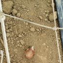 하나메디팜 이미지