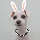 트리밍101 이미지