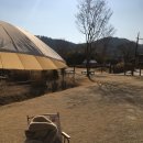 피크닉109태화강점 | 울산 태화강 피크닉 텐트대여 이용해본 후기