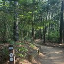 맹산2공원 이미지