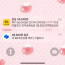 워라밸돔경기장 | 랜더스필드 직관 후기⚾️