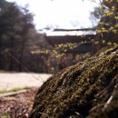 솔바람풍경소리 이미지