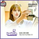 댕댕이연구소 이미지