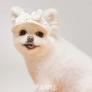 스튜디오 눕 이미지