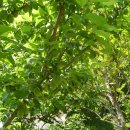 미현농장 이미지