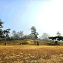 충희공 이인손 묘 이미지