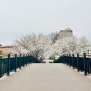 대구선아양공원2 이미지