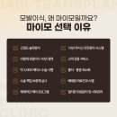 마이모의원 이미지