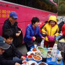 행금도 Daum카페
