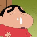 당진Y복싱클럽 이미지