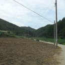 강원도 횡성군 교항북로 이미지