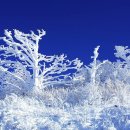 토월주유소 이미지