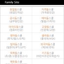 봉봉봉 프랑스어 첫걸음 이미지