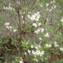 하루의 찬 이미지