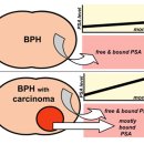 하이닥터 비뇨의학과 의원 이미지