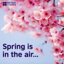 ""Spring is in the air!"" 이미지