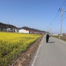 증도면사무소 이미지